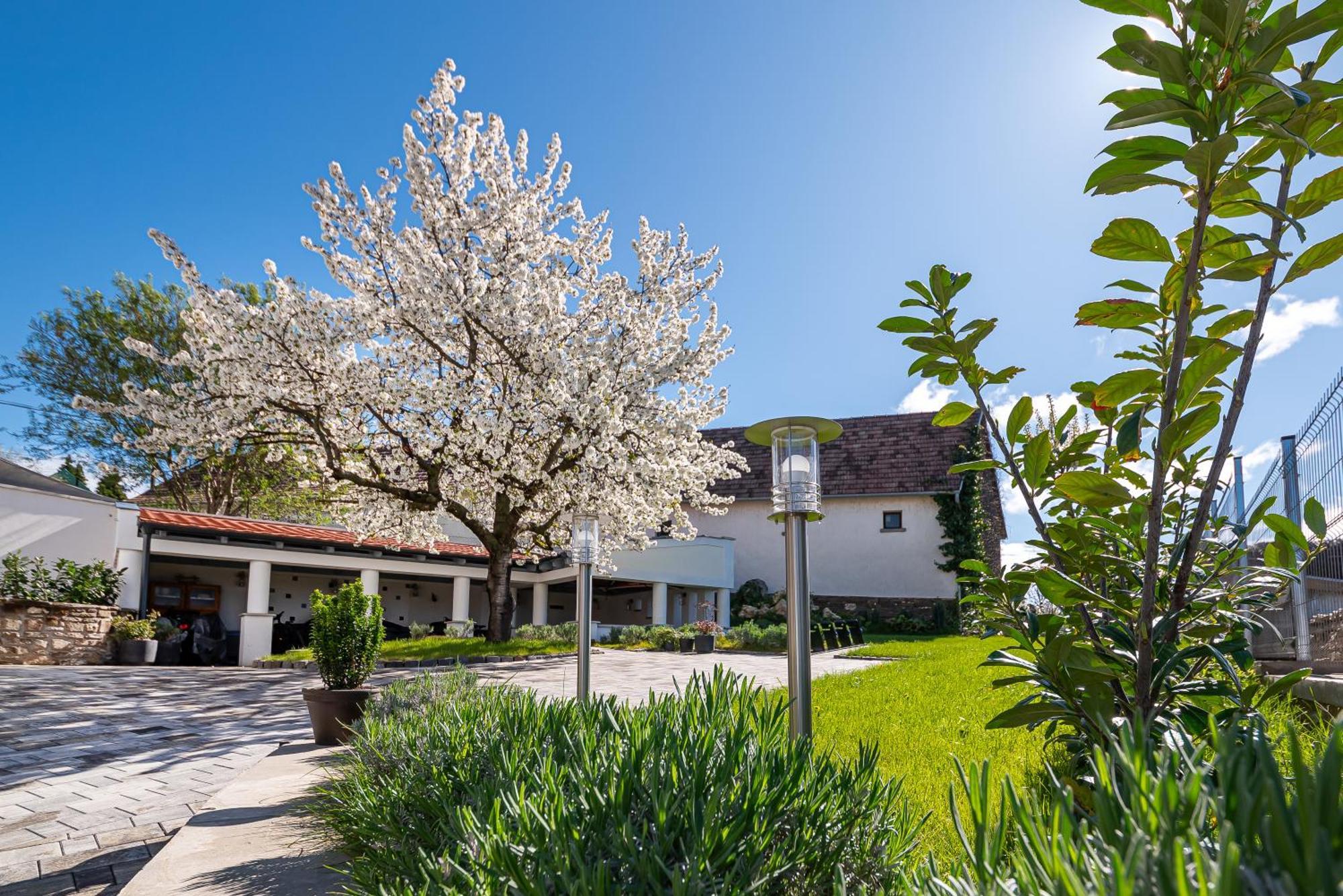 Apartamento Papoula Vendeghaz Tihany Exterior foto
